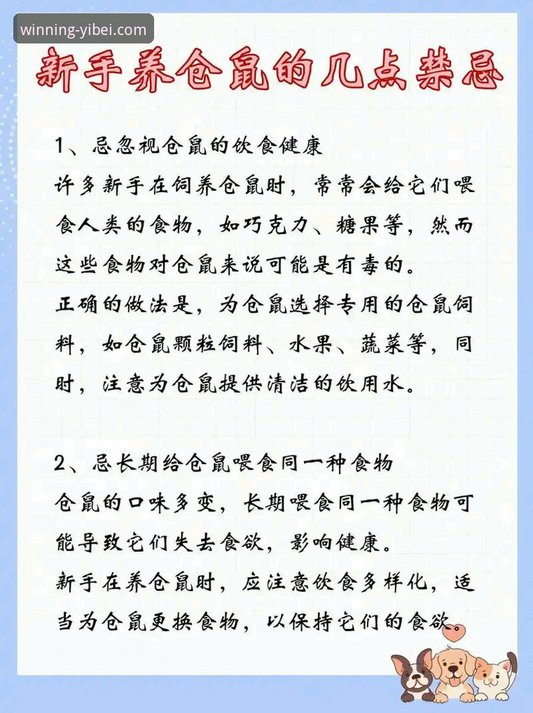 新手如何快速完成易倍体育官网下载使用指南？从零开始的5步操作法